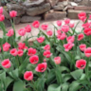 Meet your Posher, Cathy